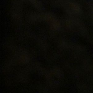 Meet your Posher, Nikol